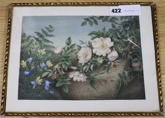 E. Osborn, watercolour, dog roses and other flowers, signed and dated 1871, 19 x 27cm